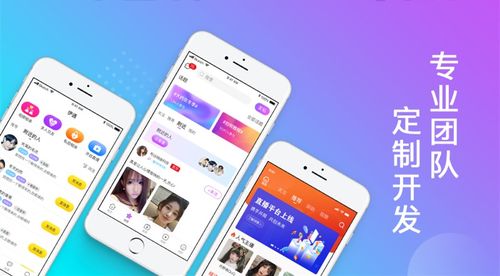 北京中聯(lián)科技系統(tǒng)軟件APP小程序定制建設設計開發(fā)方案